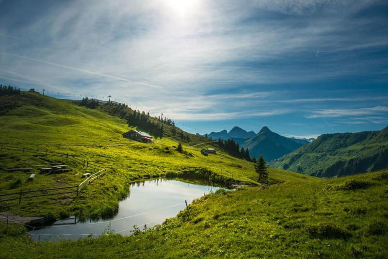 Ferienwohnungen Schantl شوبرناو المظهر الخارجي الصورة